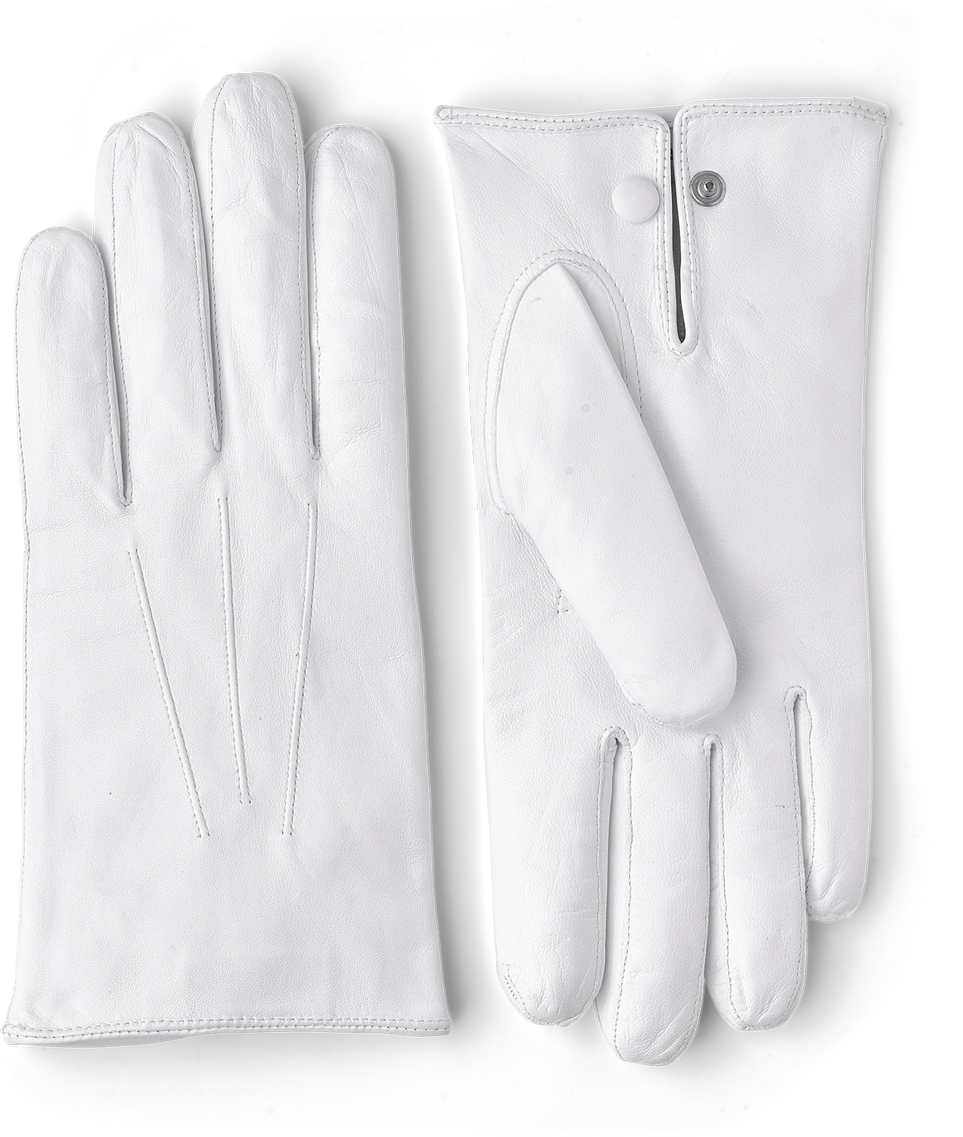 Hestra Glacé Parade Glove